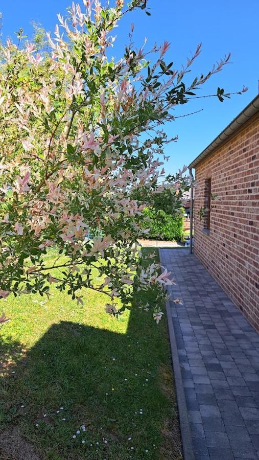 Gite Rural "L'Anseromia" Dinant Esterno foto